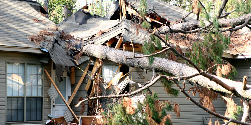 What to Do While You Wait for Storm Damage Repair